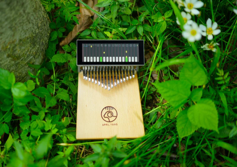 My Kalimba Adventure with KalimbaGo Plus