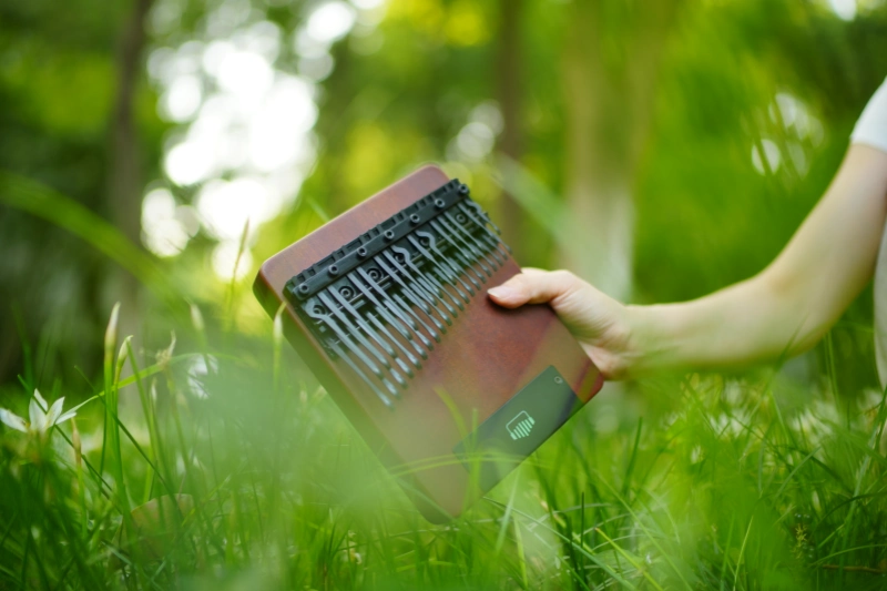 The Kalimba: What Is It and Why Is This Instrument Gaining Popularity?