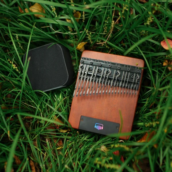 ✨NEW Arrival!✨ April Yang D3pro 36 Keys E-Kalimba With Speaker